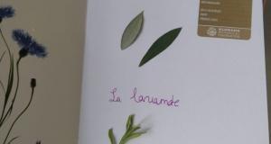 Φυτολόγιο στα Γαλλικά