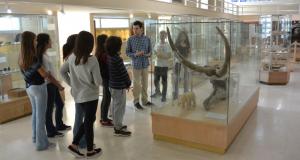 Επίσκεψη στο Μουσείο Παλαιοντολογίας