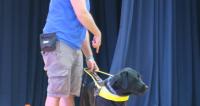 Guide dogs at School