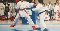 karate_-_diakrisi