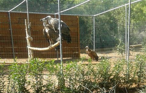 Επίσκεψη στον Βοτανικό Κήπο Διομήδους