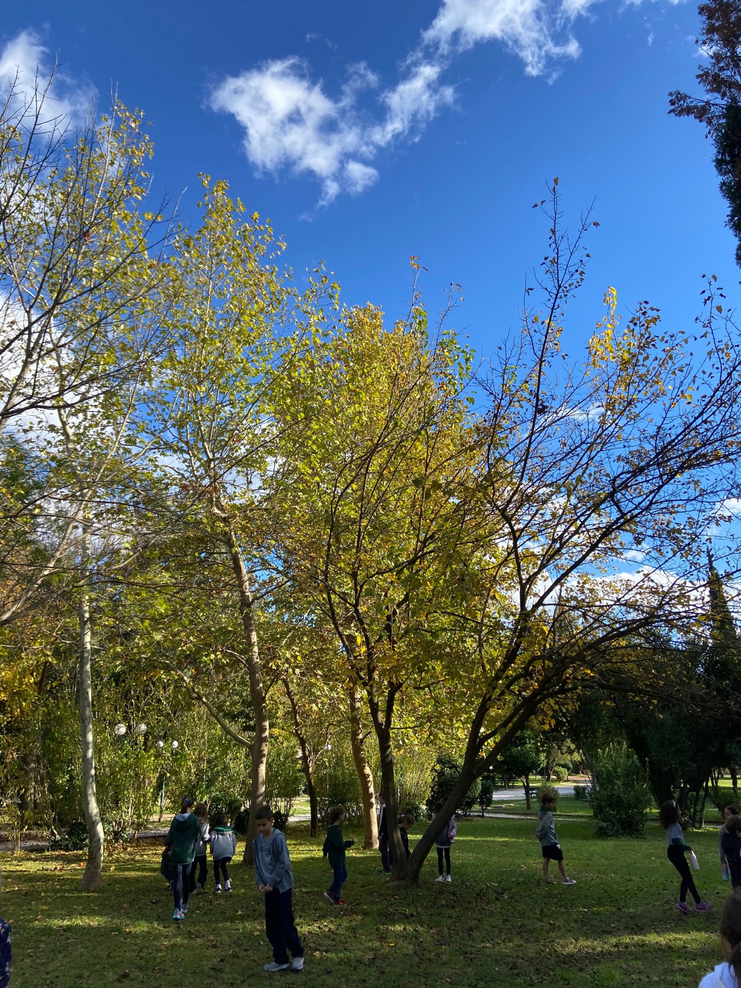 Γνωρίζοντας τη γειτονιά του Σχολείου μας