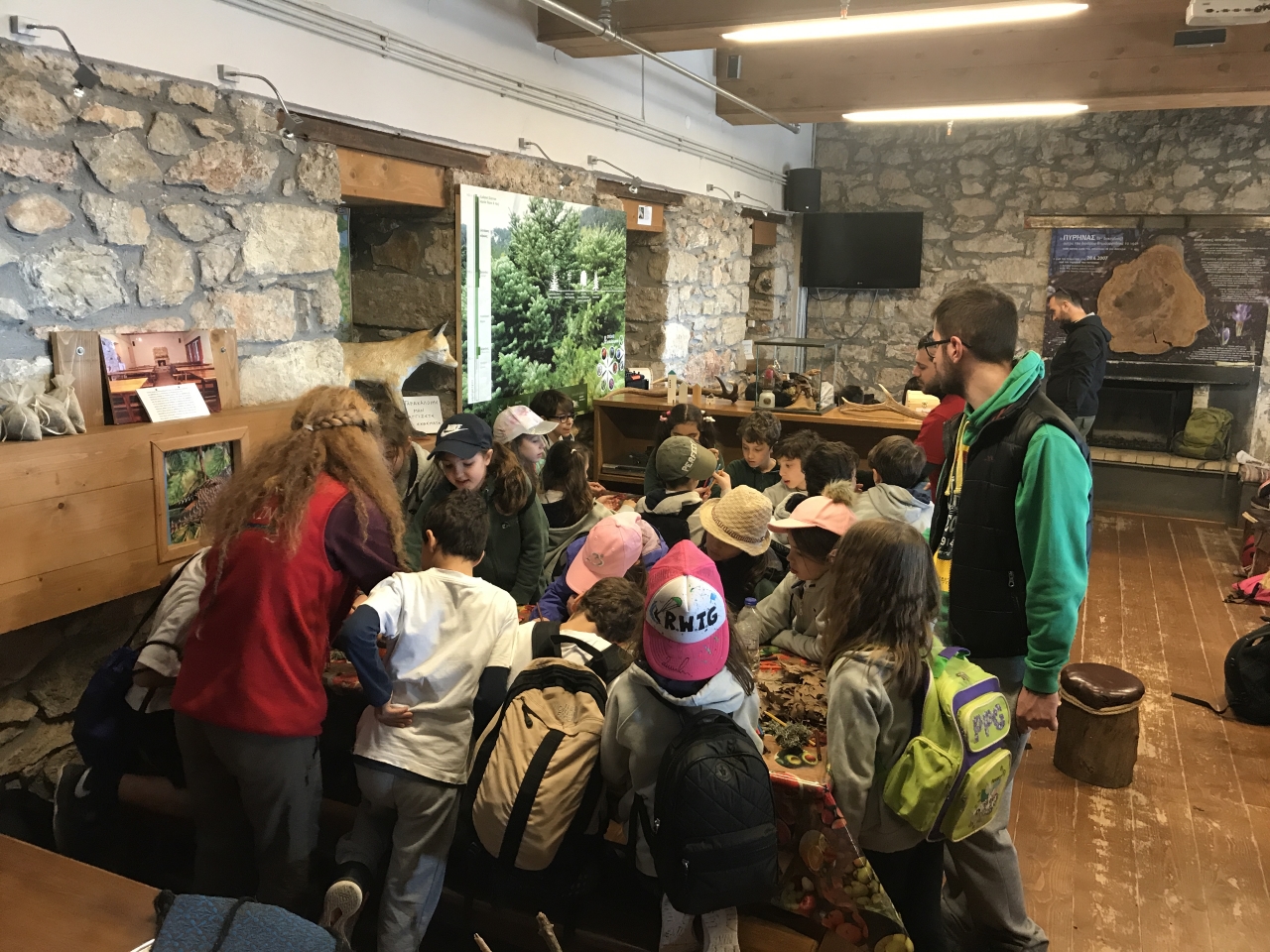 28._g_dim_-_parnitha