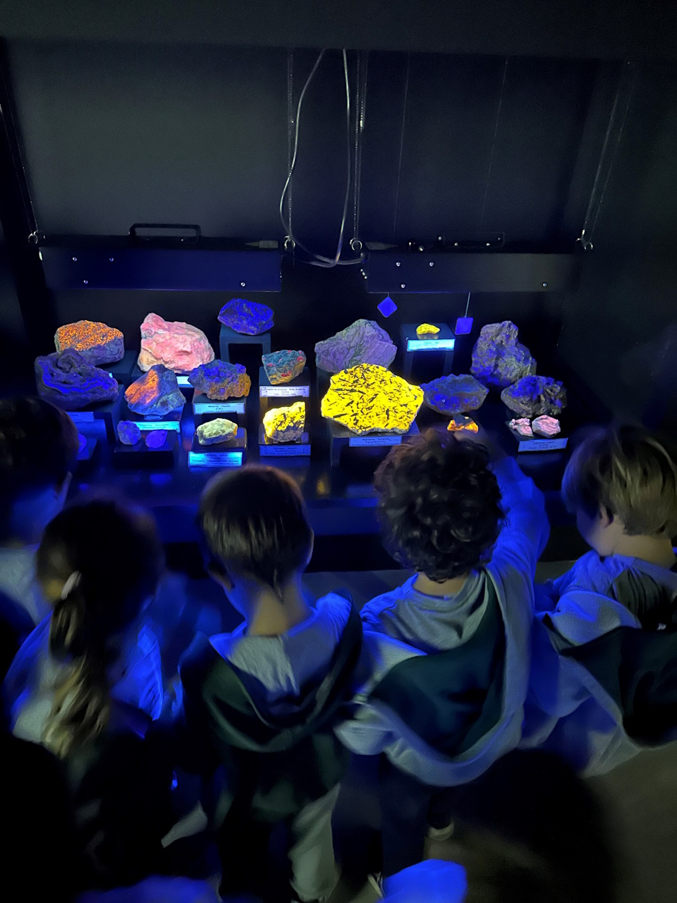 H Κίτρινη Τάξη στο Γεωλογικό Μουσείο