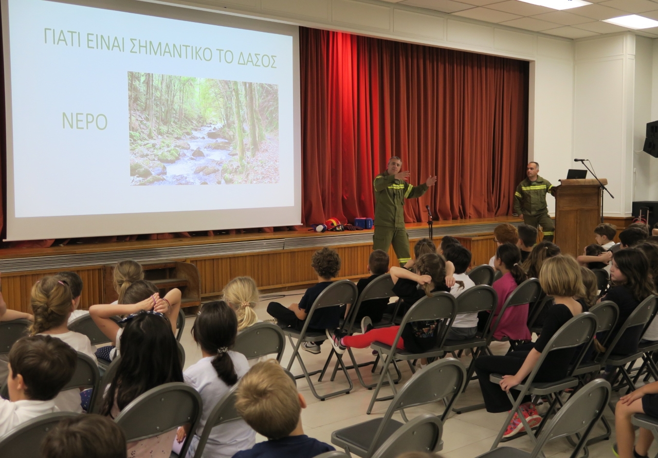 41._a_dim_-_dasopyrosvestes