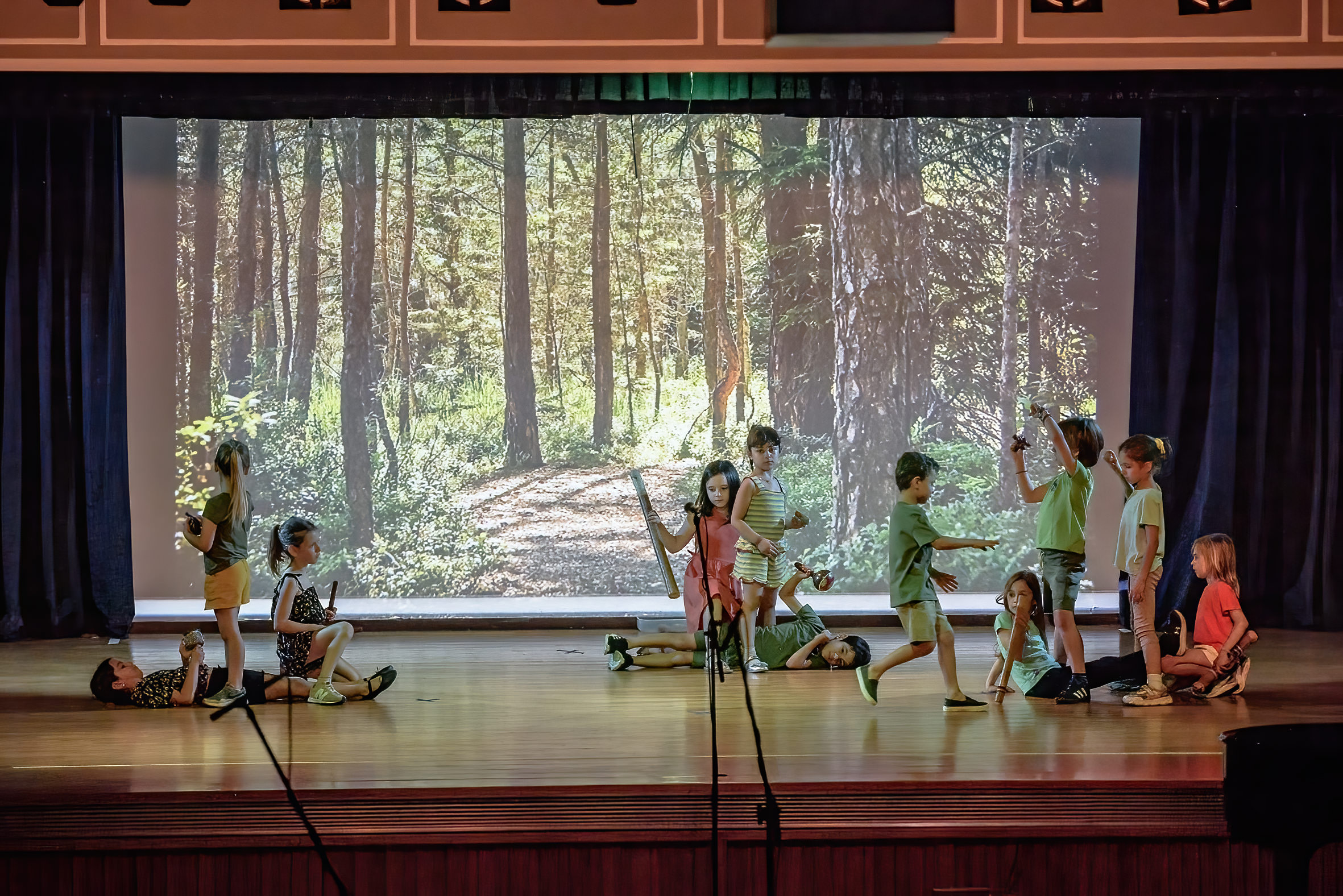 «Μερικές ερωτήσεις για τα δέντρα» από την α’ Δημοτικού