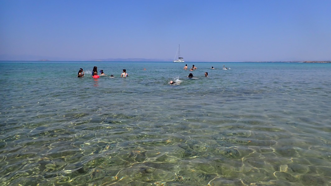 Καλοκαιρινή εξόρμηση της Περιβαλλοντικής Ομάδας στο Αγκίστρι