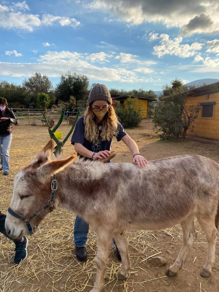 Επίσκεψη στη Γαϊδουροχώρα