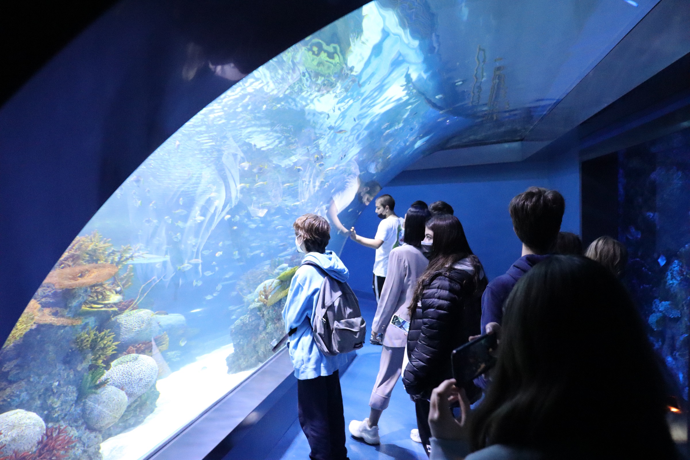 Επίσκεψη στο ενυδρείο Oceans 