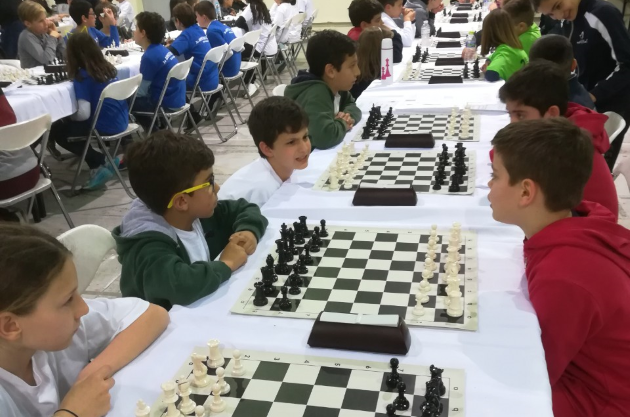 asimenio_metallio_sto_skaki