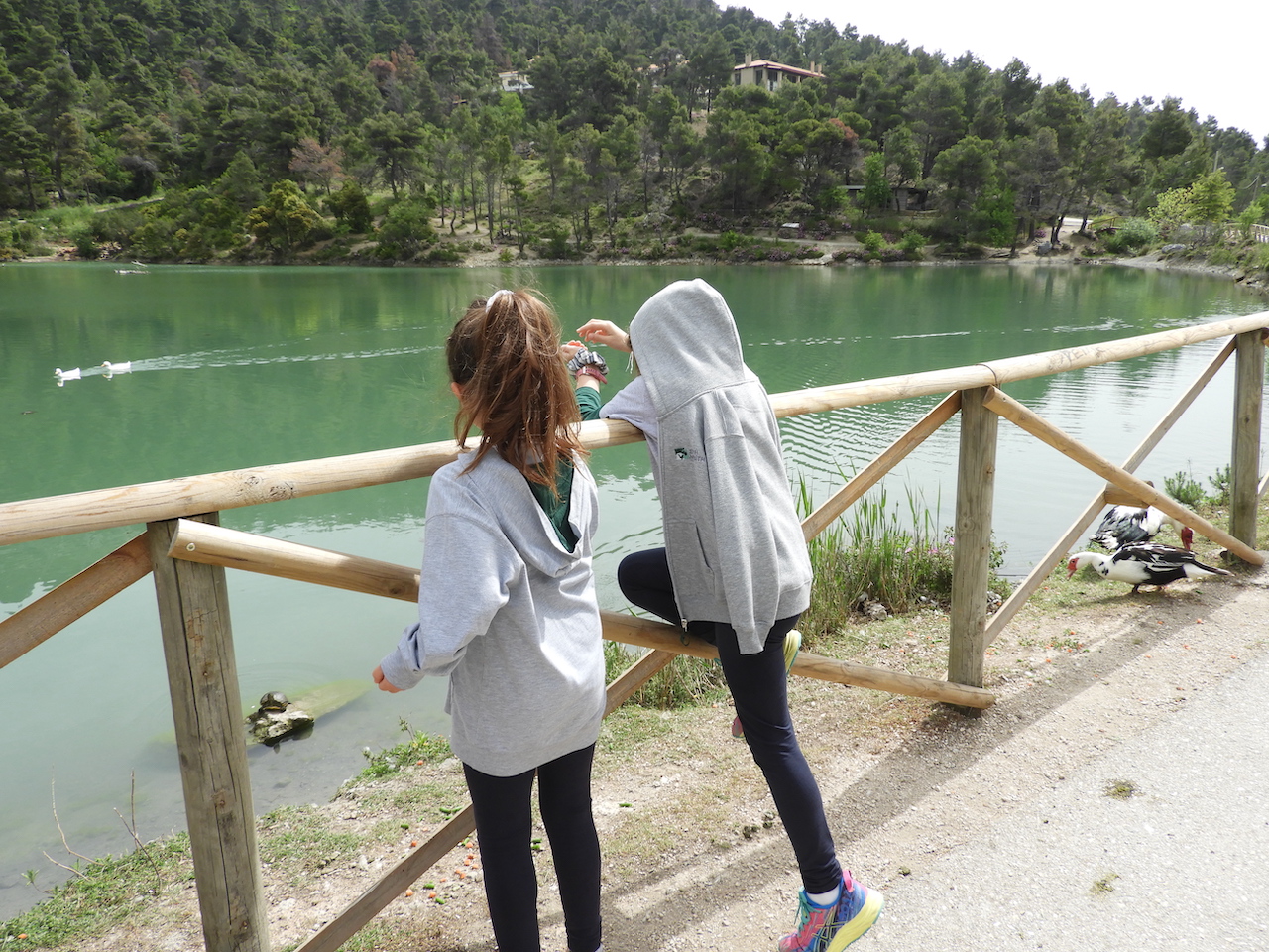 Η β’ τάξη του Δημοτικού στη λίμνη Μπελέτσι