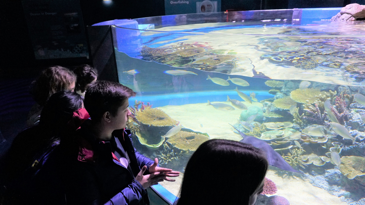 Eπίσκεψη ομίλων στο νέο ενυδρείο της Αθήνας