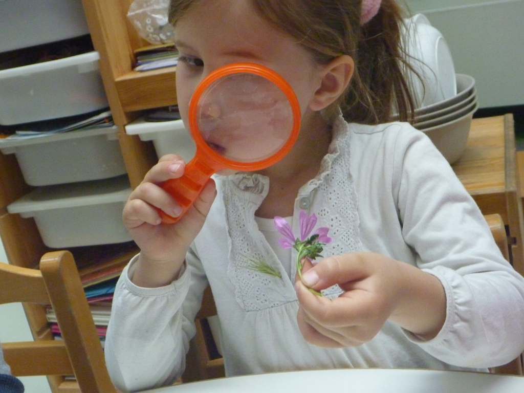 Πρόγραμμα φιλαναγνωσίας - Κεντρική Εικόνα