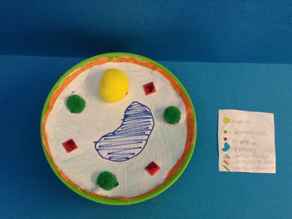 Μοντέλα φυτικών κυττάρων στην στ΄ Δημοτικού