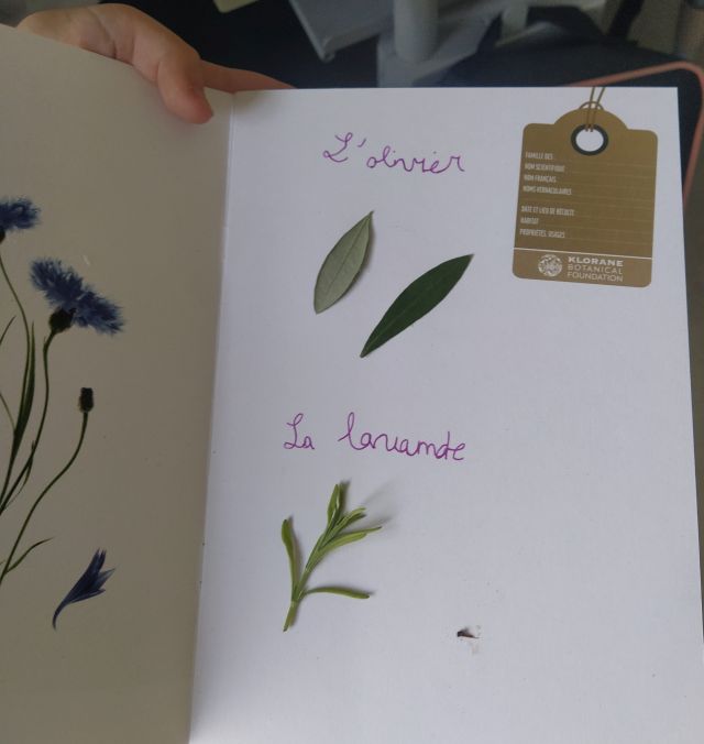 Φυτολόγιο στα Γαλλικά