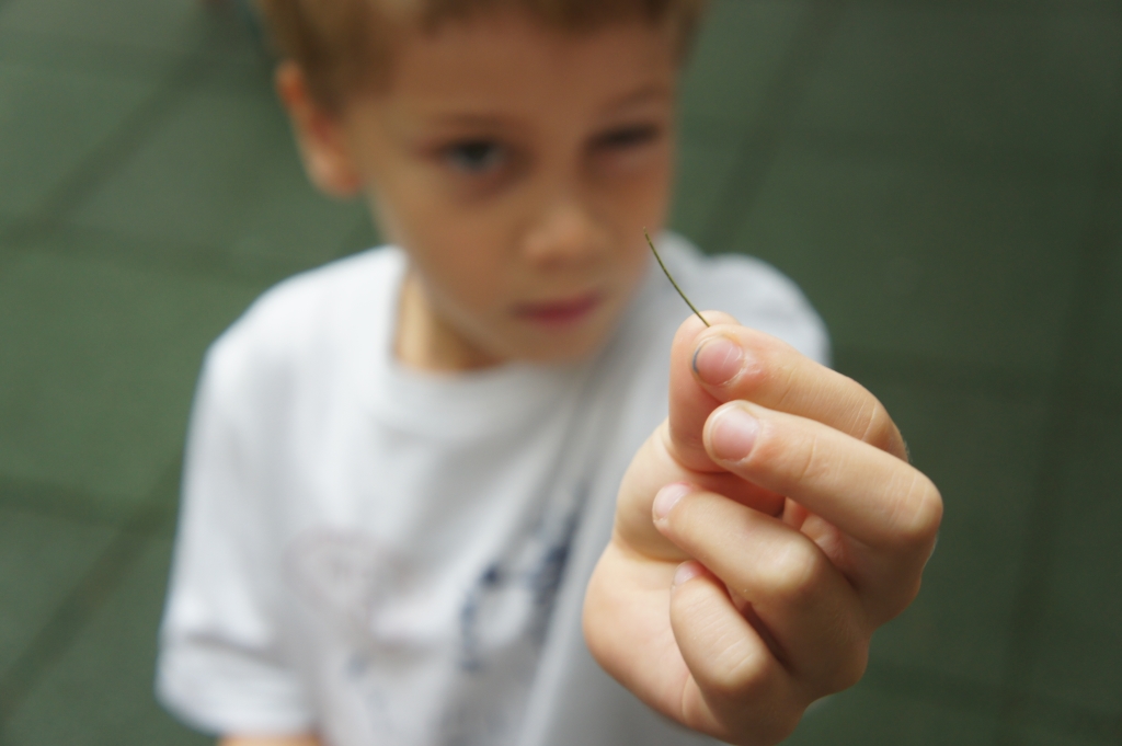 Oι γραμμές και οι τελείες συναντούν τις χελώνες!