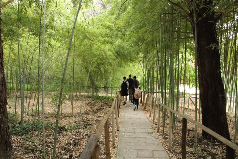 Εκπαιδευτικός περίπατος στον Βοτανικό Κήπο