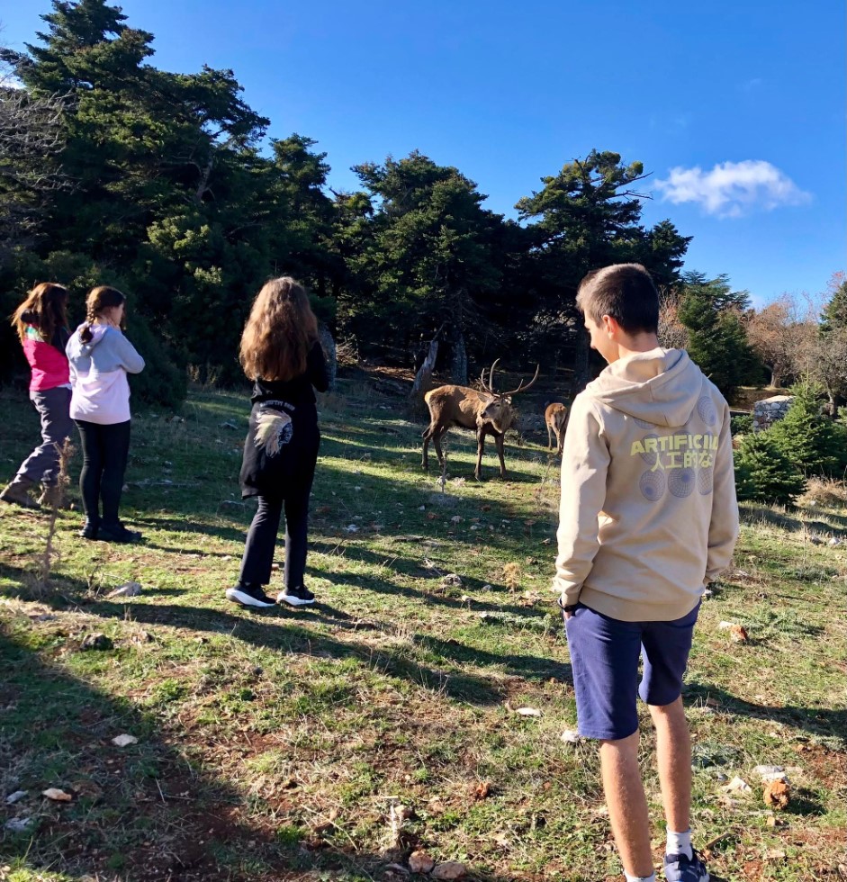Στον Εθνικό Δρυμό Πάρνηθας