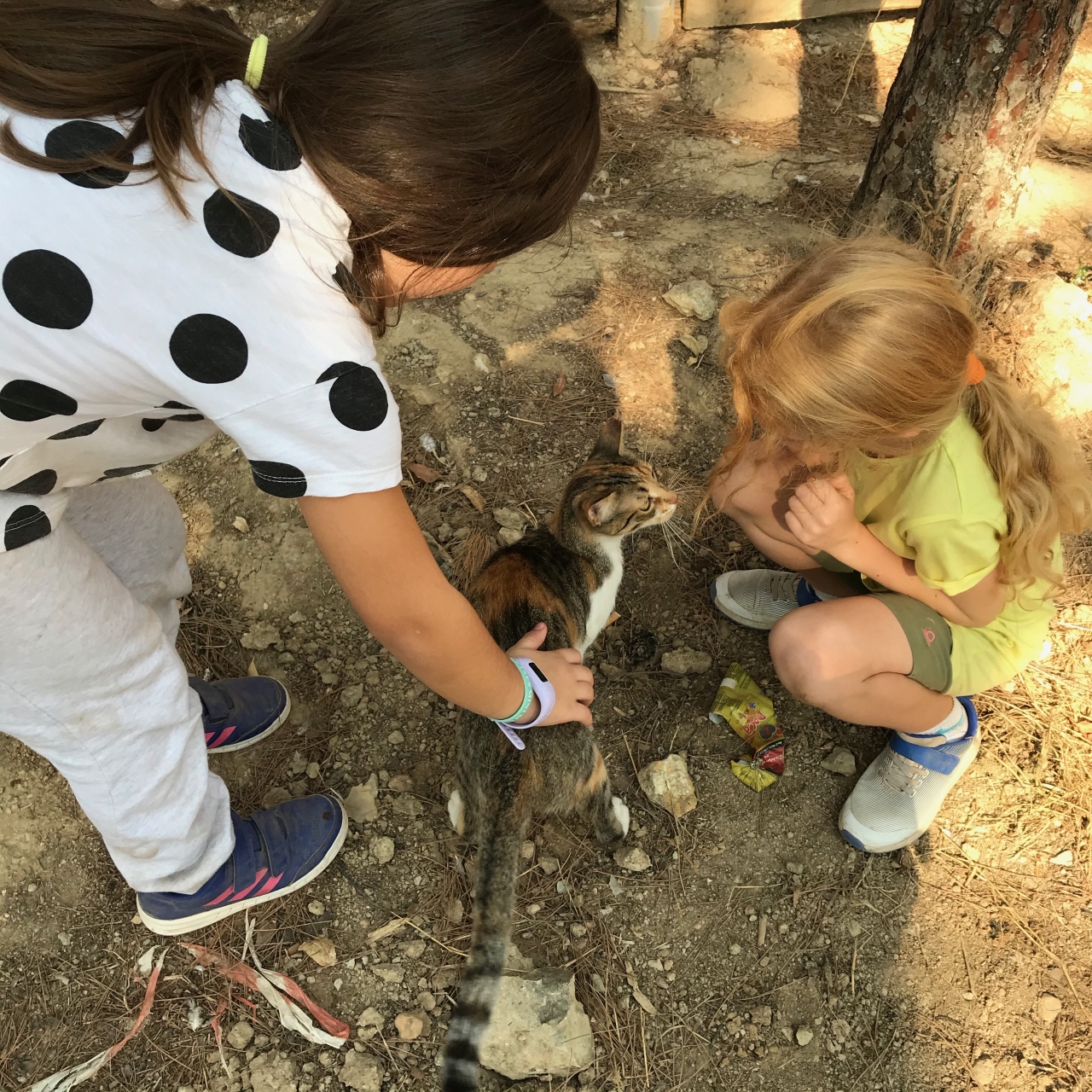 Η ΦΟΣΜ στη Νέα Φιλαδέλφεια