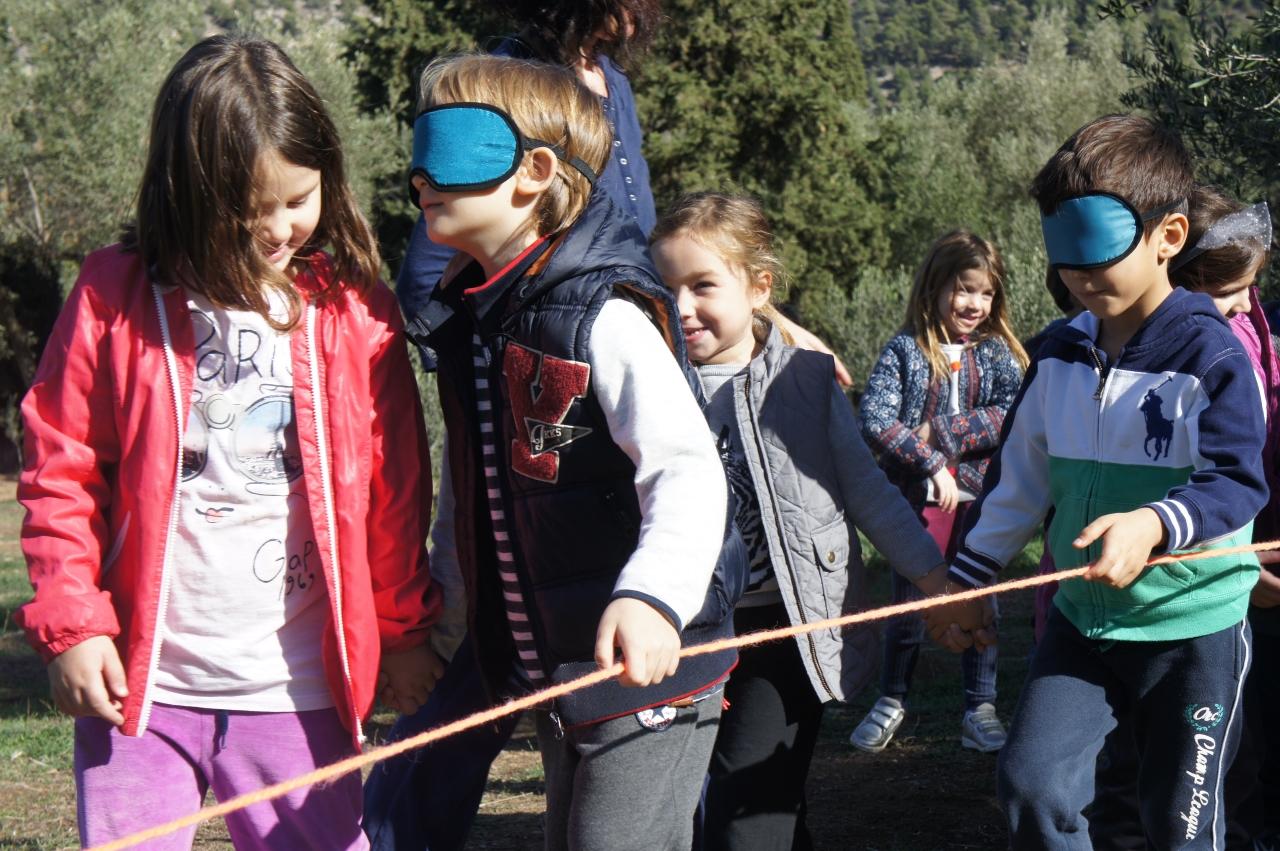 i_kitrini_taxi_sto_dasos