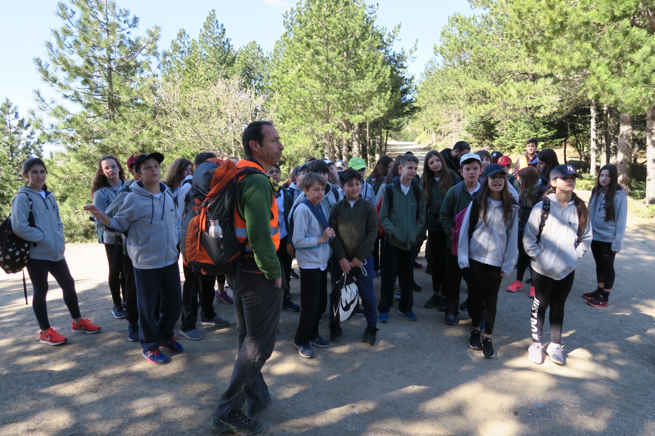 Η στ’ στην Πάρνηθα