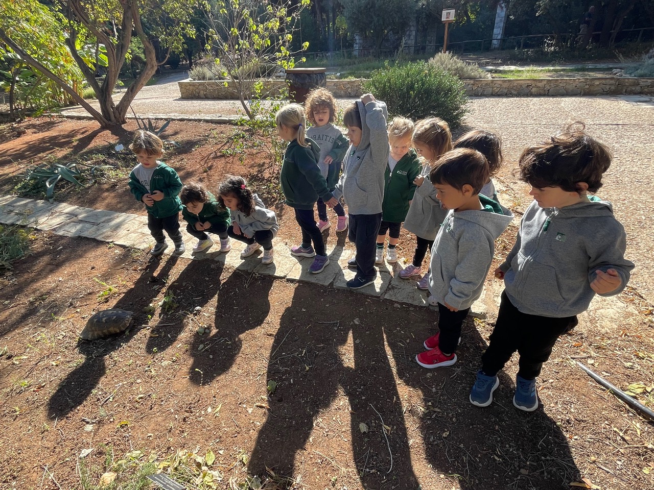 Η χελωνίτσα της Μπλε Τάξης