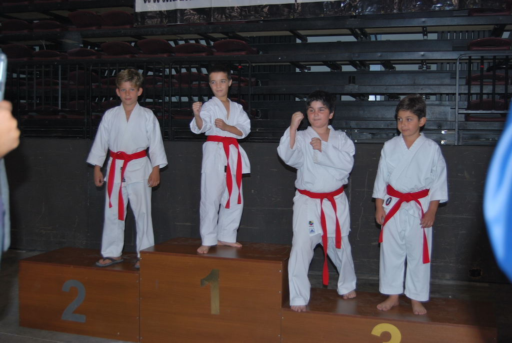 Πανελλήνιο Πρωτάθλημα εγχρώμων ζωνών 2013 - Κεντρική Εικόνα