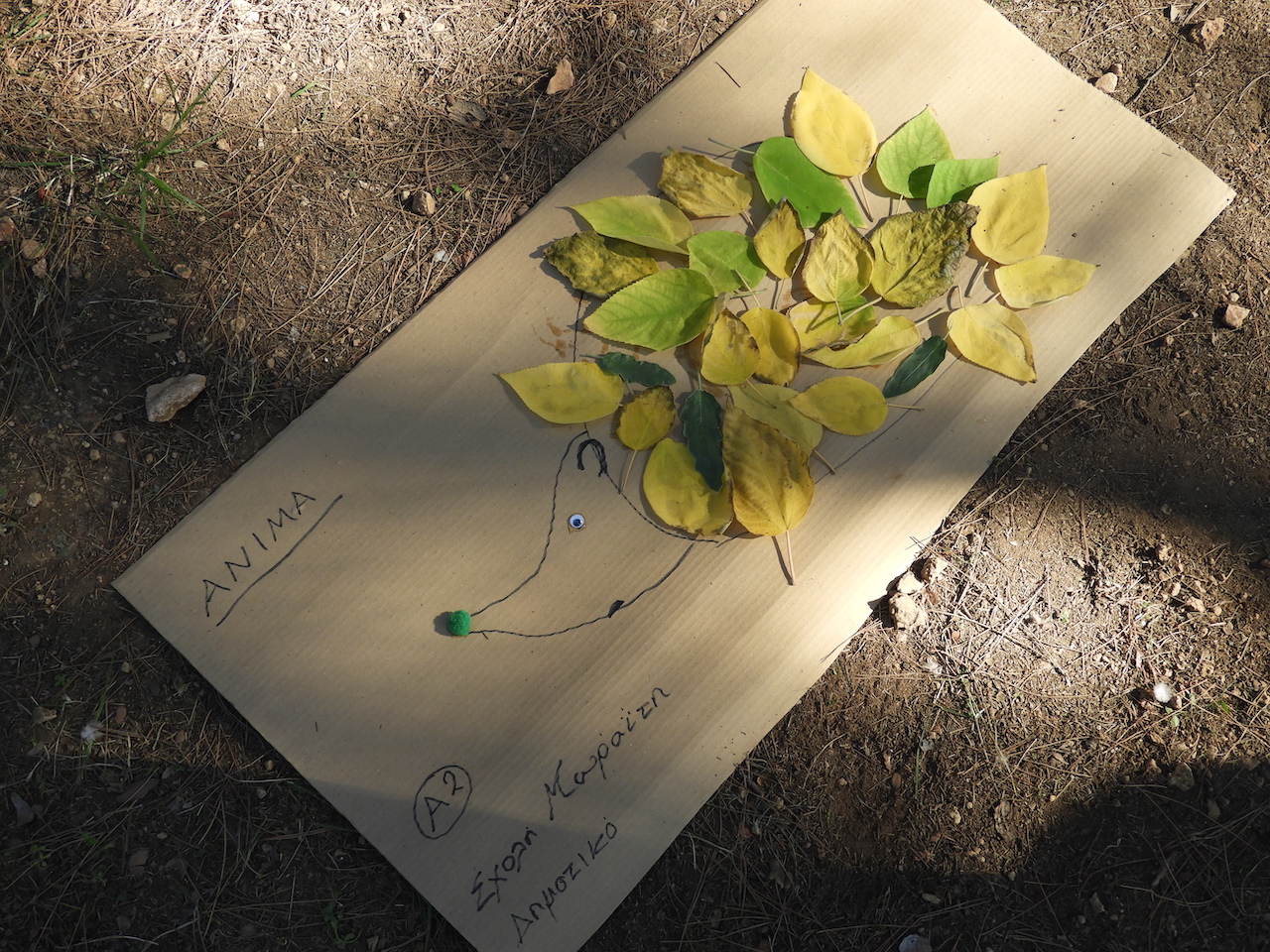 Η α΄ τάξη στον Βοτανικό Κήπο Διομήδους