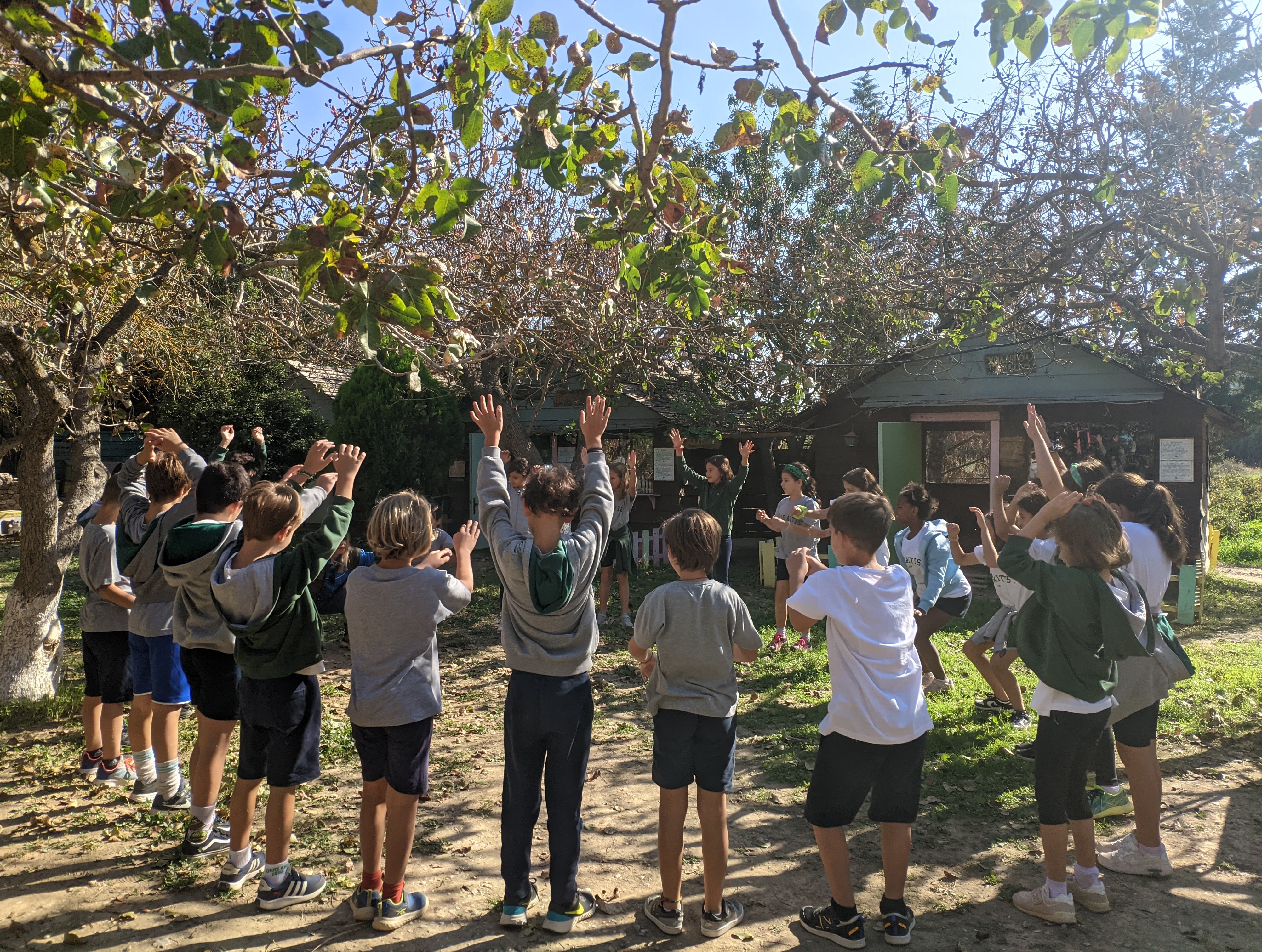 Τα παλιά επαγγέλματα ζωντανεύουν