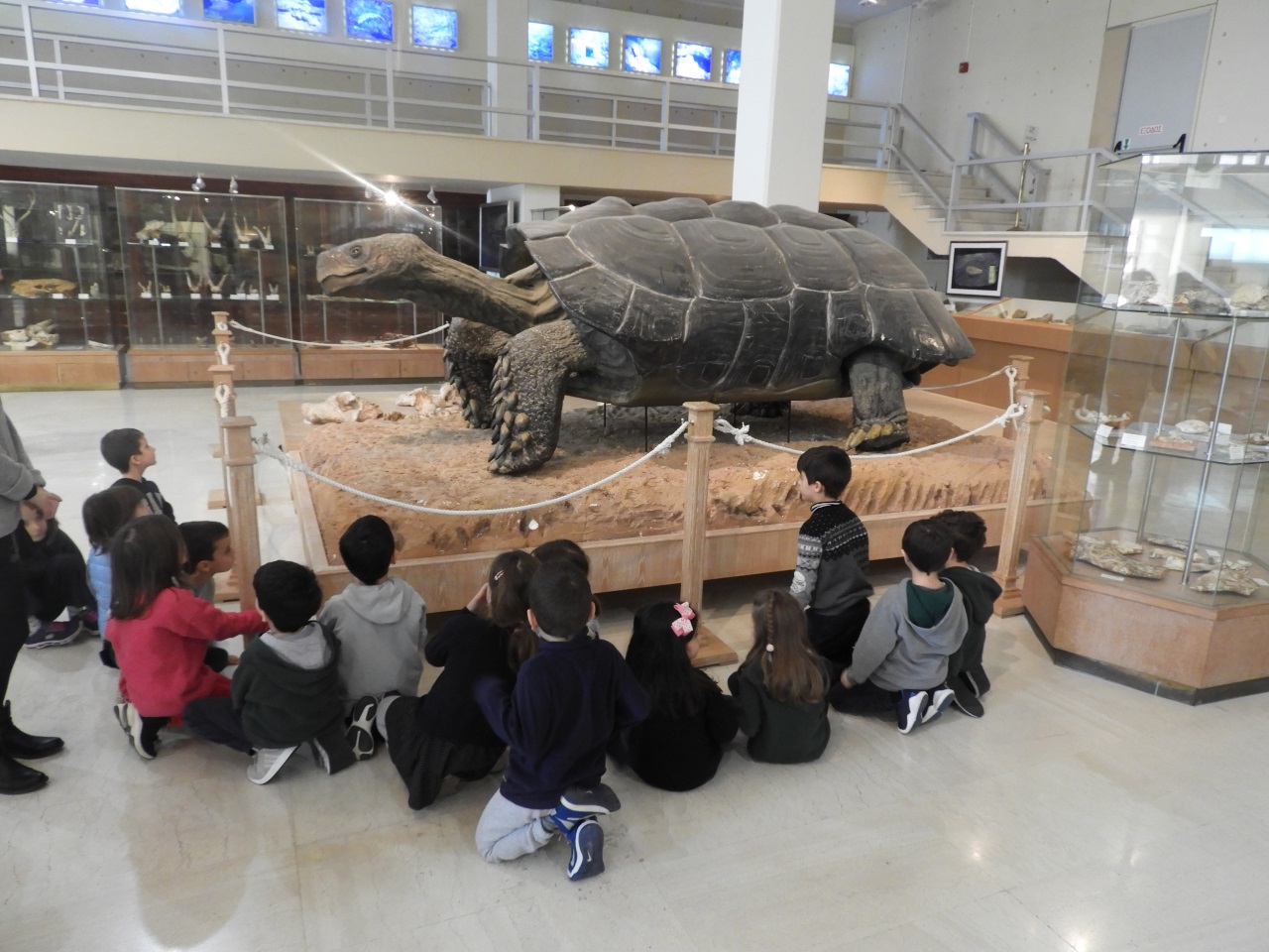 Μικροί Παλαιοντολόγοι στο Νηπιαγωγείο!