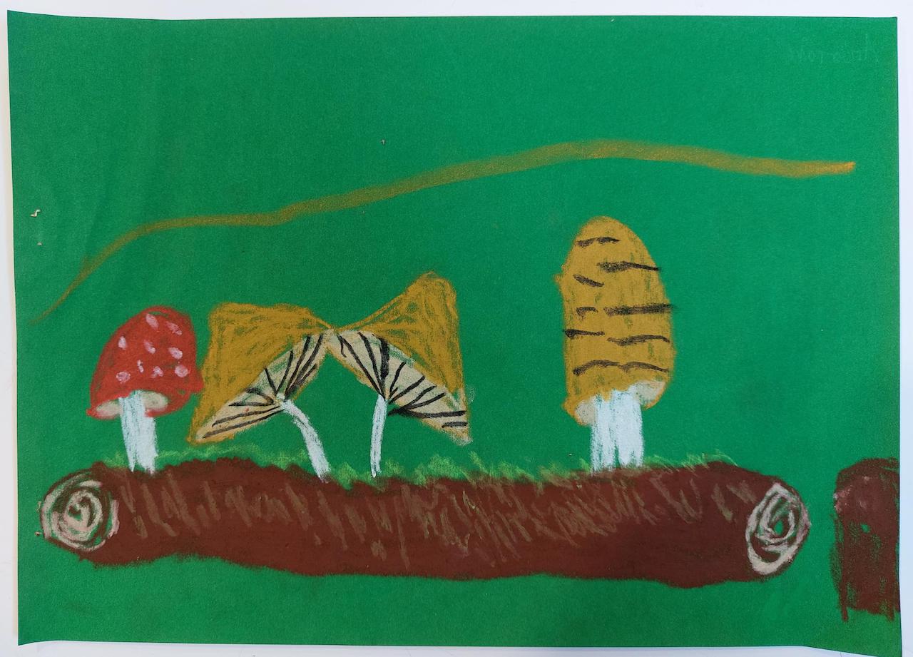 Ζωγραφίζοντας μανιτάρια με την α’ και β’ Δημοτικού