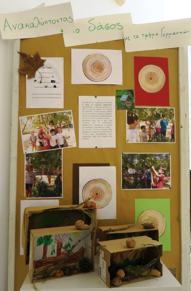 paidagogiki_toy_dasoys_sto_tmima_germanikon