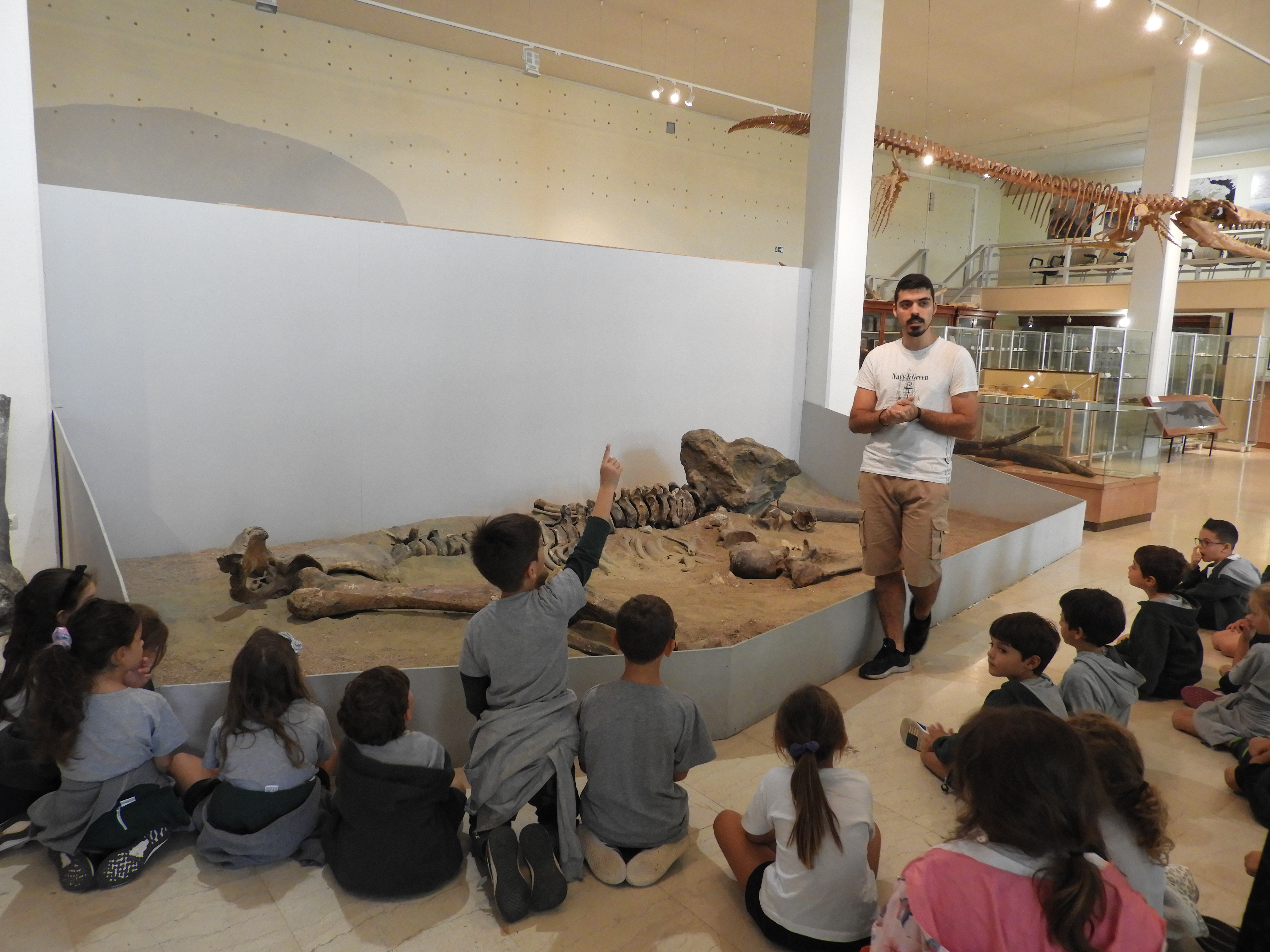 Τα πρωτάκια, μικροί παλαιοντολόγοι