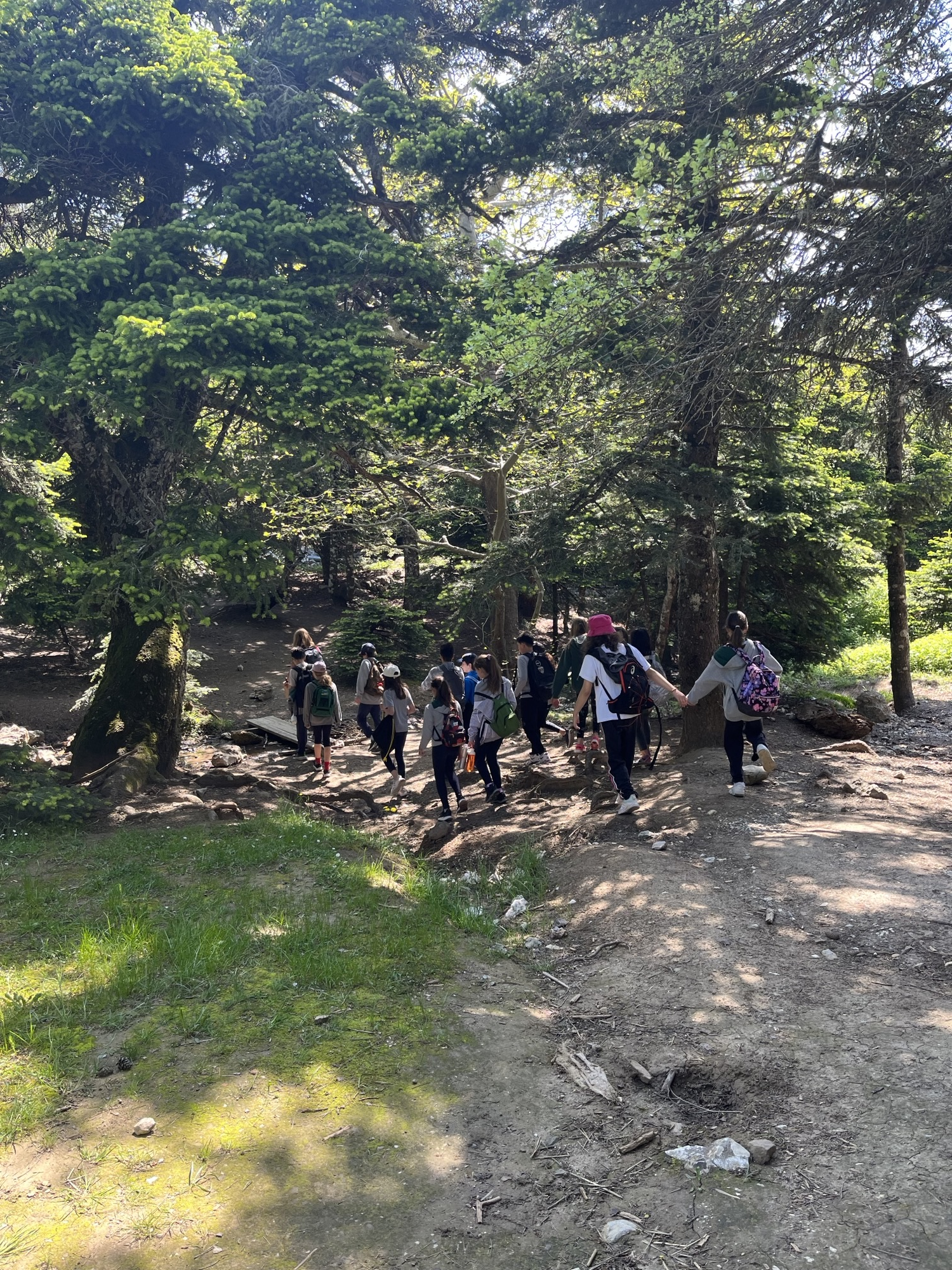 Κυνήγι κρυμμένου θησαυρού στην Πάρνηθα