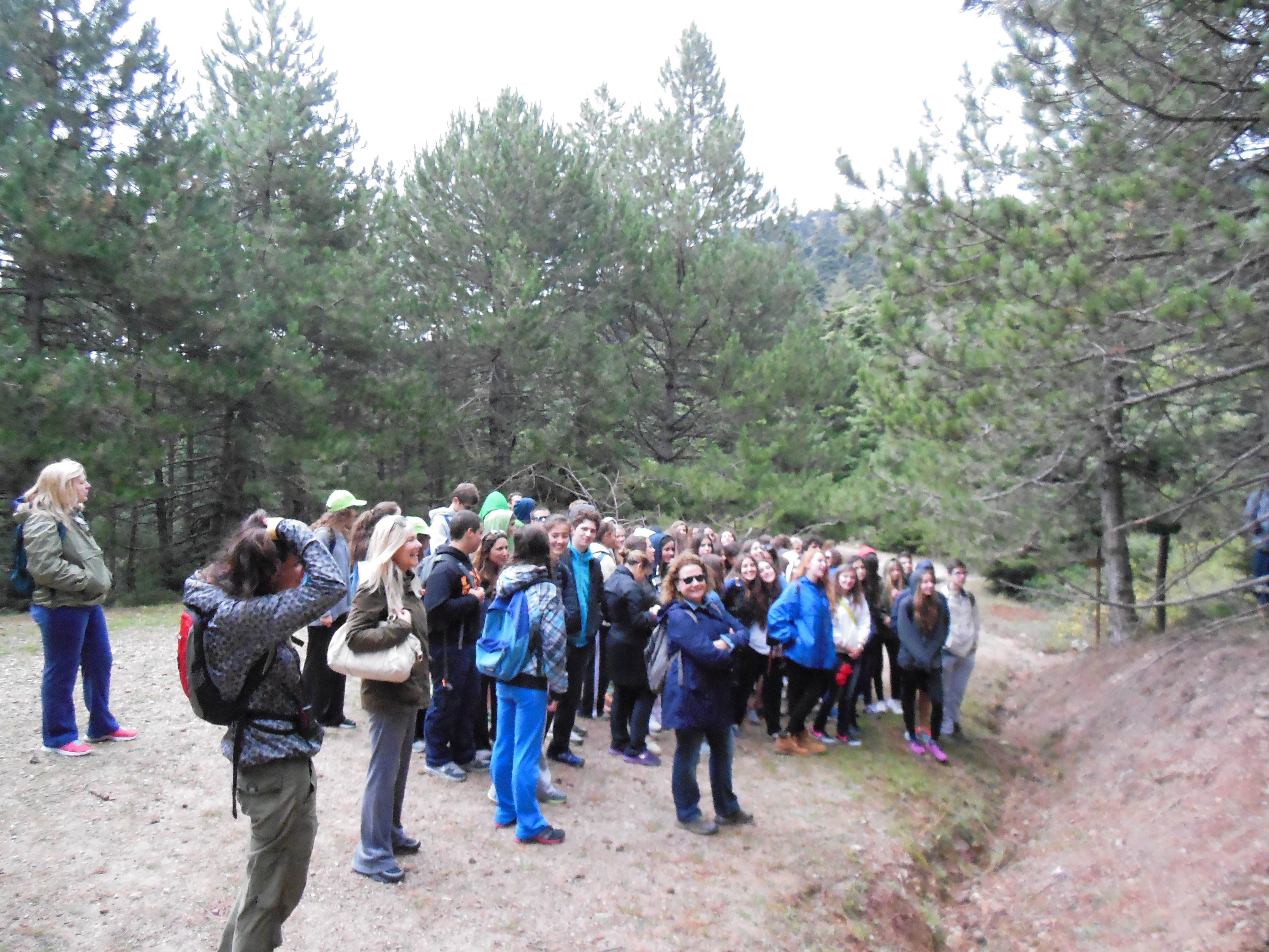 Πεζοπορία στην Πάρνηθα - Κεντρική Εικόνα