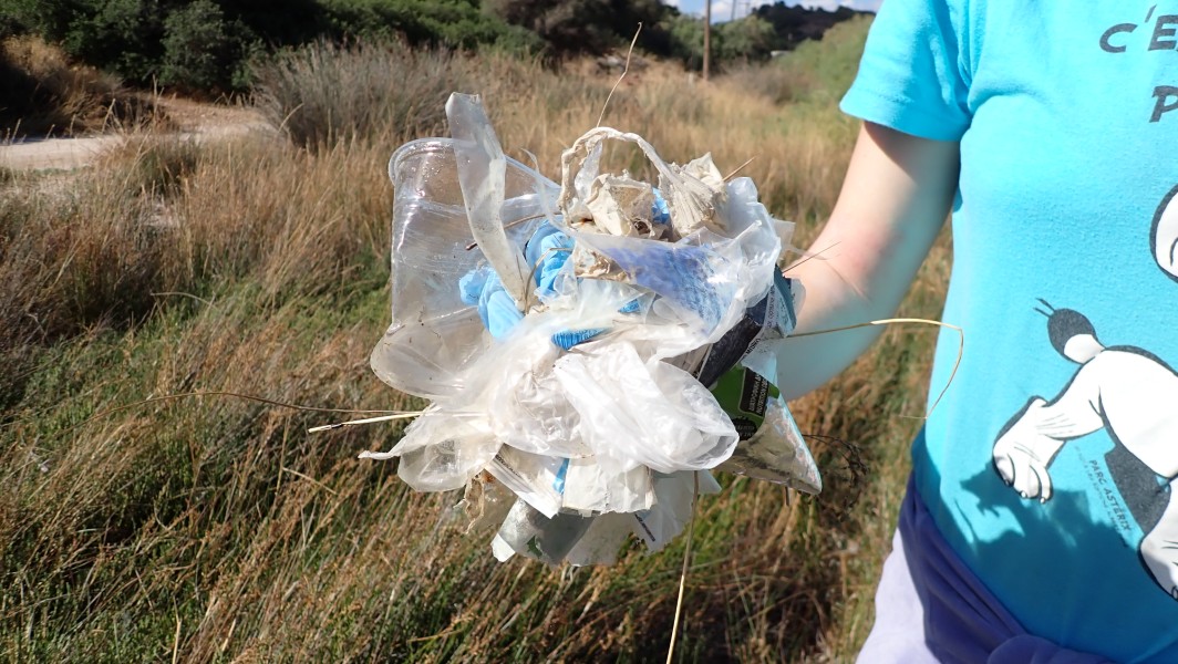 Περιβαλλοντική Ομάδα, Πανευρωπαϊκή Γιορτή Πουλιών 2025