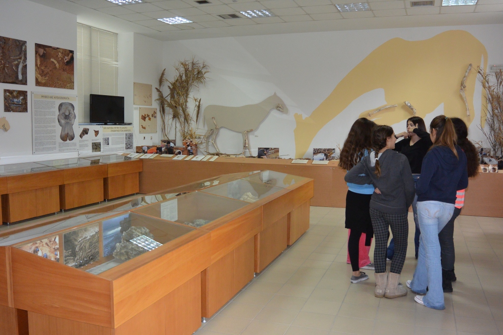 pikermi_palaiontology_museum