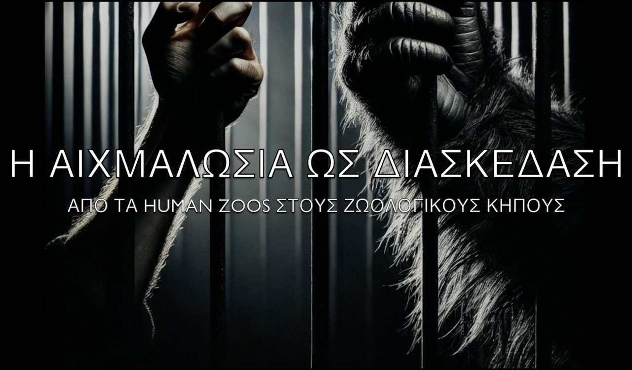 Το Πρωινό του τμήματος α3 με θέμα "Η αιχμαλωσία ως διασκέδαση: Από τα human zoos στους ζωολογικούς κήπους"