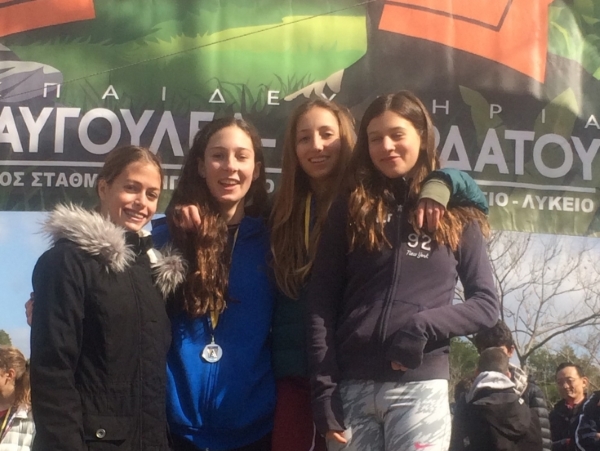 proties_sto_dromo_se_anomalo_edafos