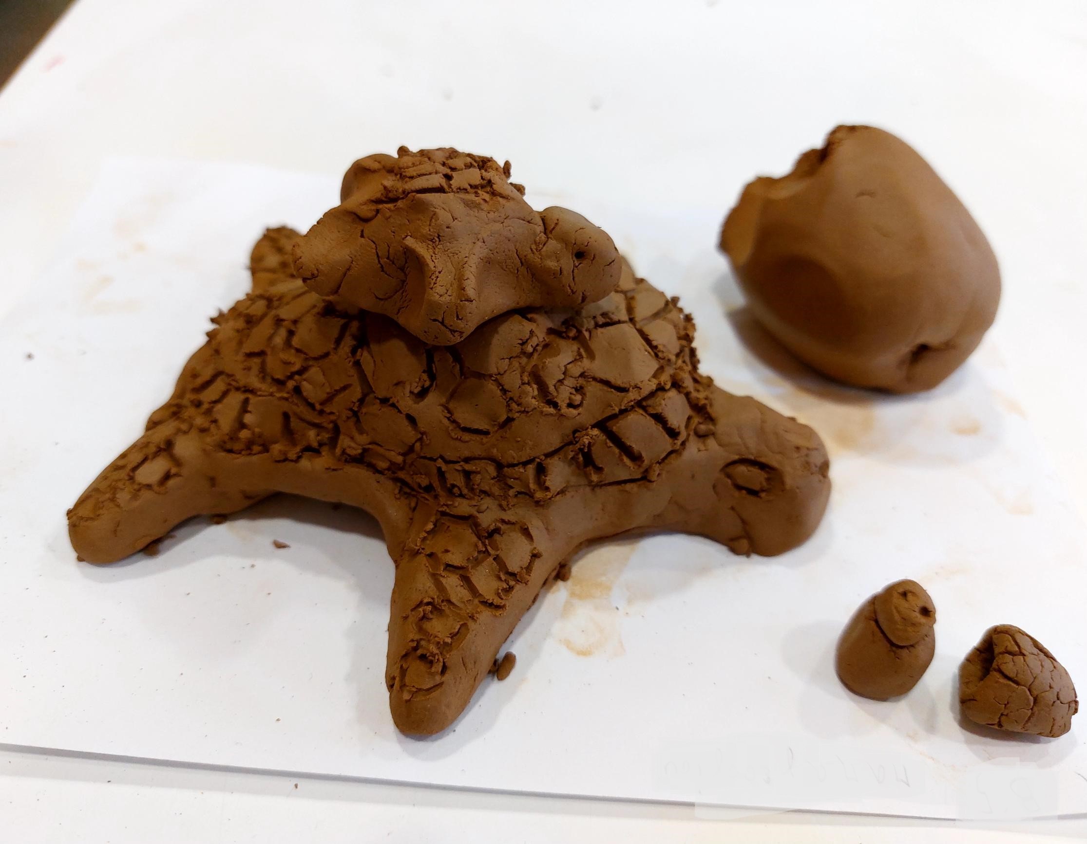 Στην πλάτη μιας θαλάσσιας χελώνας