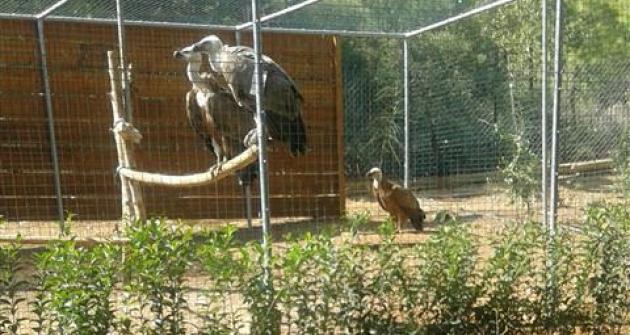 Επίσκεψη στον Βοτανικό Κήπο Διομήδους Επίσκεψη στον Βοτανικό Κήπο Διομήδους