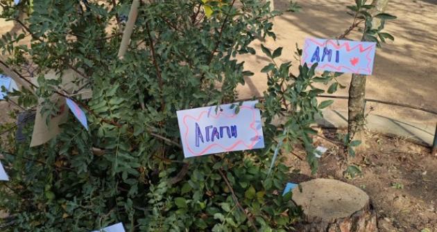 Το δέντρο των Ευρωπαϊκών Γλωσσών Το δέντρο των Ευρωπαϊκών Γλωσσών