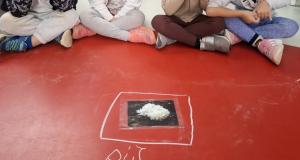 Τα μανιτάρια της Γαλάζιας Τάξης