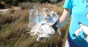 Περιβαλλοντική Ομάδα, Πανευρωπαϊκή Γιορτή Πουλιών 2025