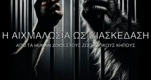 Το Πρωινό του τμήματος α3 με θέμα &quot;Η αιχμαλωσία ως διασκέδαση: Από τα human zoos στους ζωολογικούς κήπους&quot;