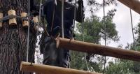 Η α΄ και  β΄ Γυμνασίου στο Adventure Park!