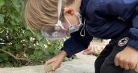 English, Art &amp; Nature στο Νηπιαγωγείο