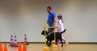 Guide dogs at School