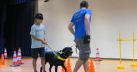 Guide dogs at School