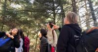 Στον Εθνικό Δρυμό Πάρνηθας